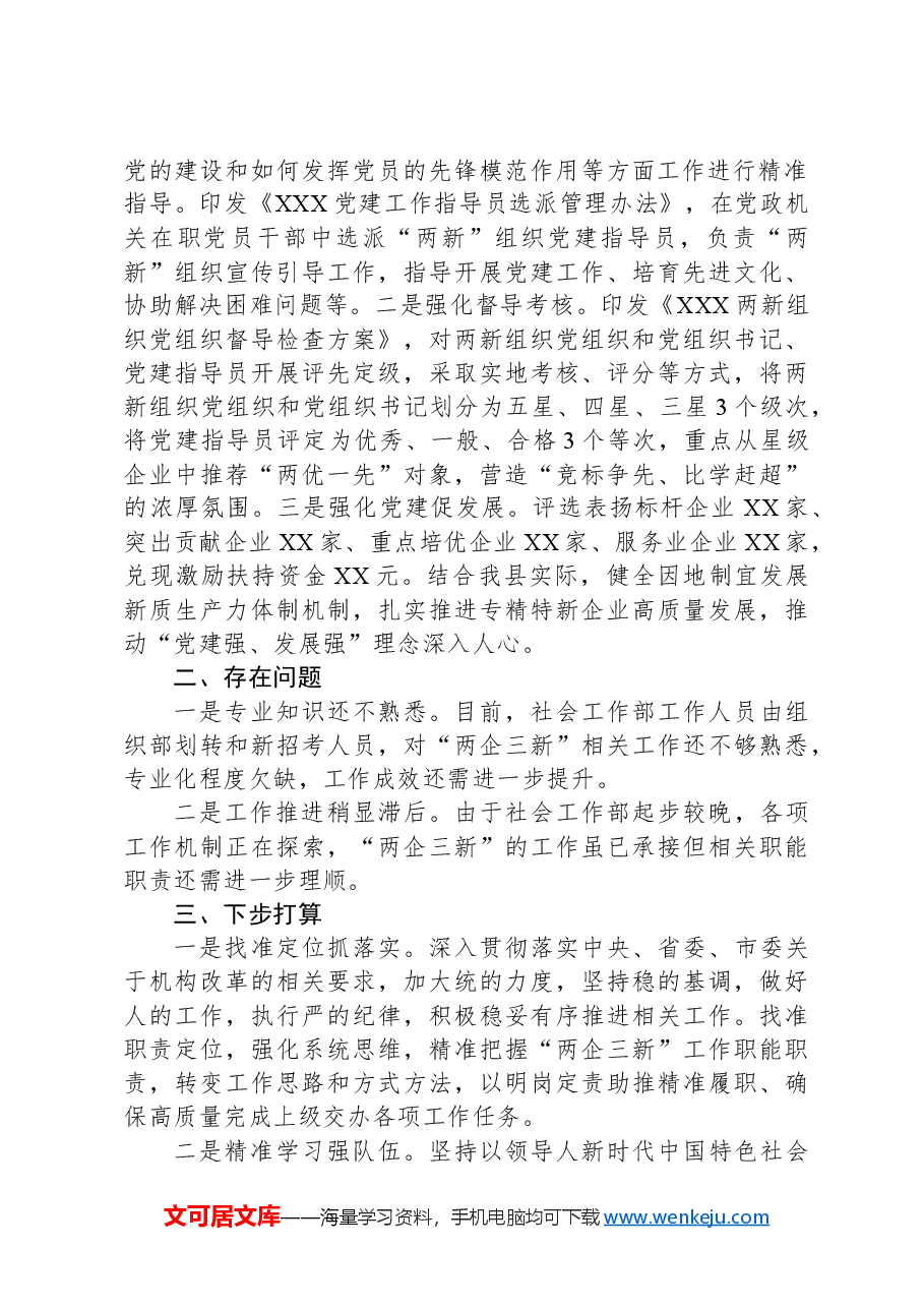 在全市“两新”工委业务交流会上的发言材料.docx,第2页预览