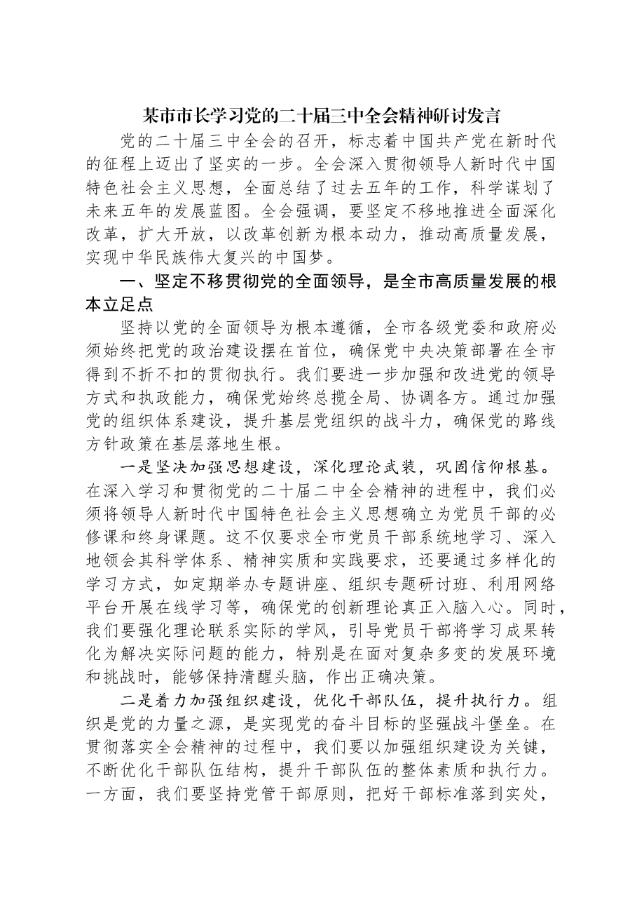 某市市长学习党的二十届三中全会精神研讨发言.docx，第1页预览