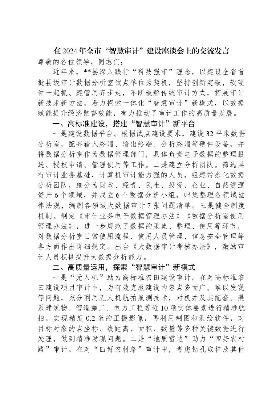 在2024年全市“智慧审计”建设座谈会上的交流发言.docx,第1页预览
