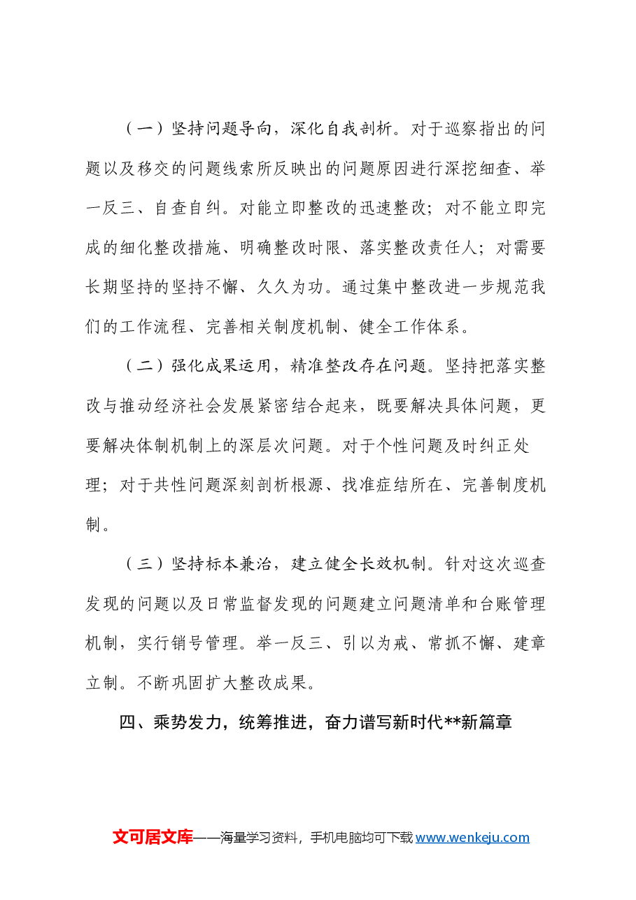 2024年巡察整改单位一把手表态发言.docx,第4页预览