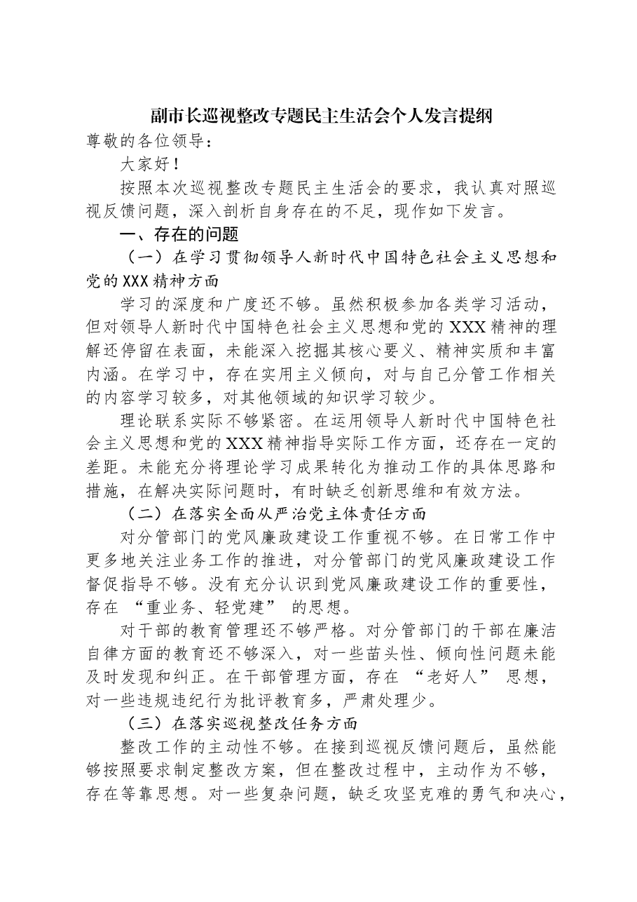 副市长巡视整改专题民主生活会个人发言提纲.docx,第1页预览