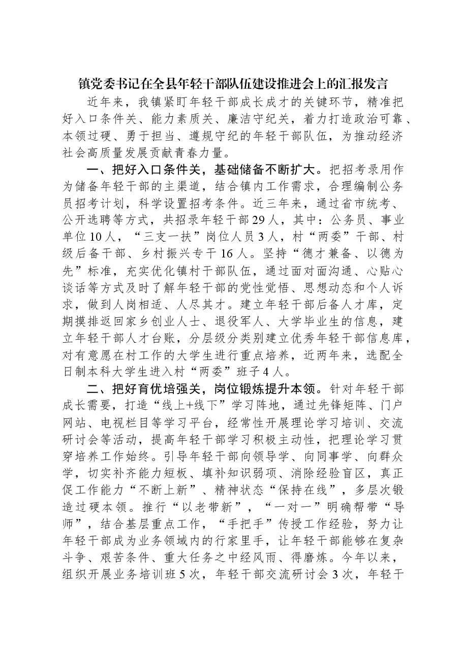 镇党委书记在全县年轻干部队伍建设推进会上的汇报发言.docx,第1页预览