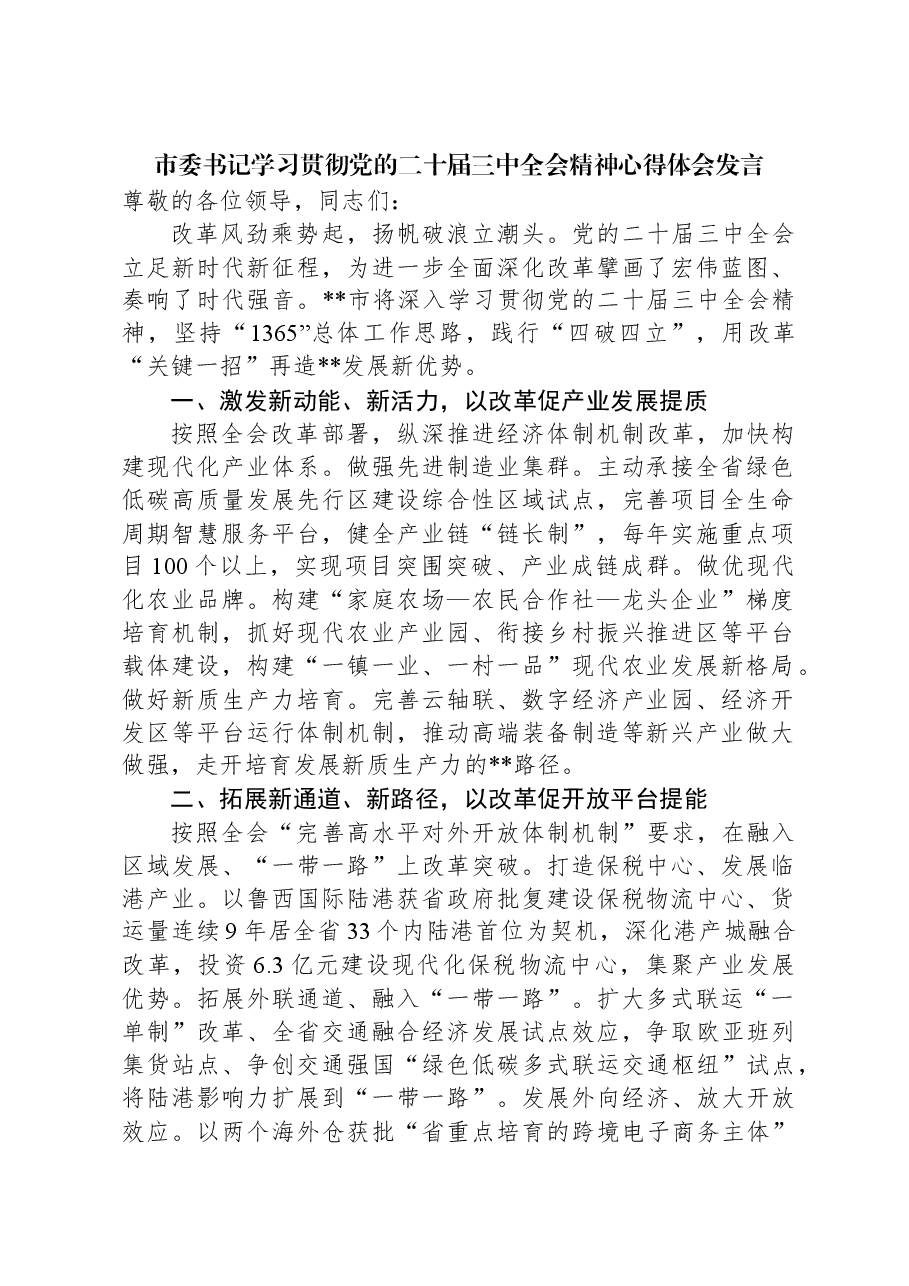 市委书记学习贯彻党的二十届三中全会精神心得体会发言.docx,第1页预览