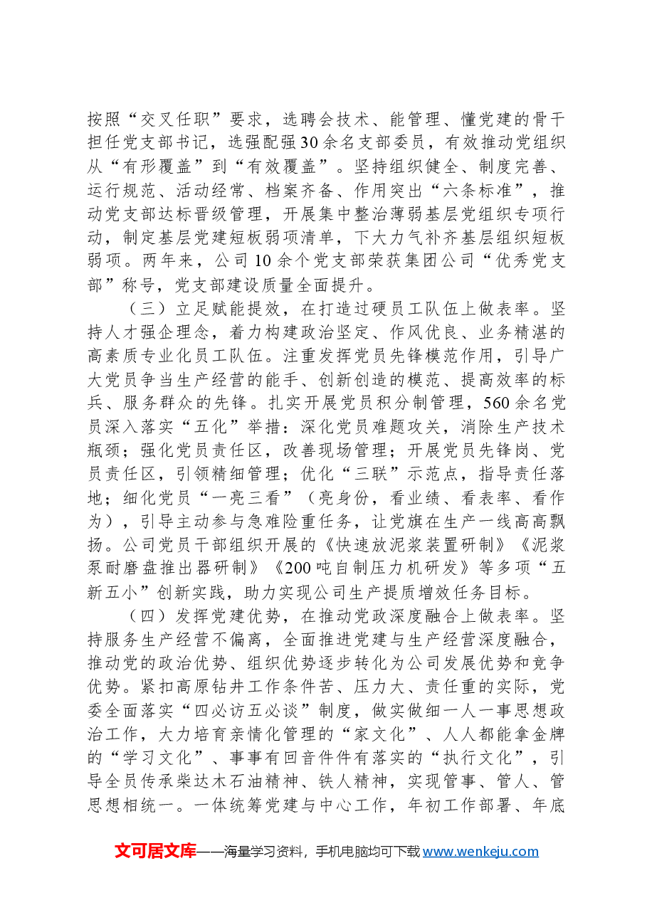 国有能源企业2024年度落实全面从严治党主体责任工作情况报告.docx,第2页预览