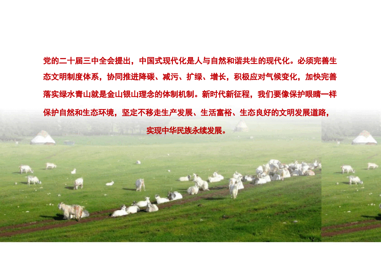 专题八谱写人与自然和谐共生的现代化-2024秋形势与政策课件.pdf,第2页预览