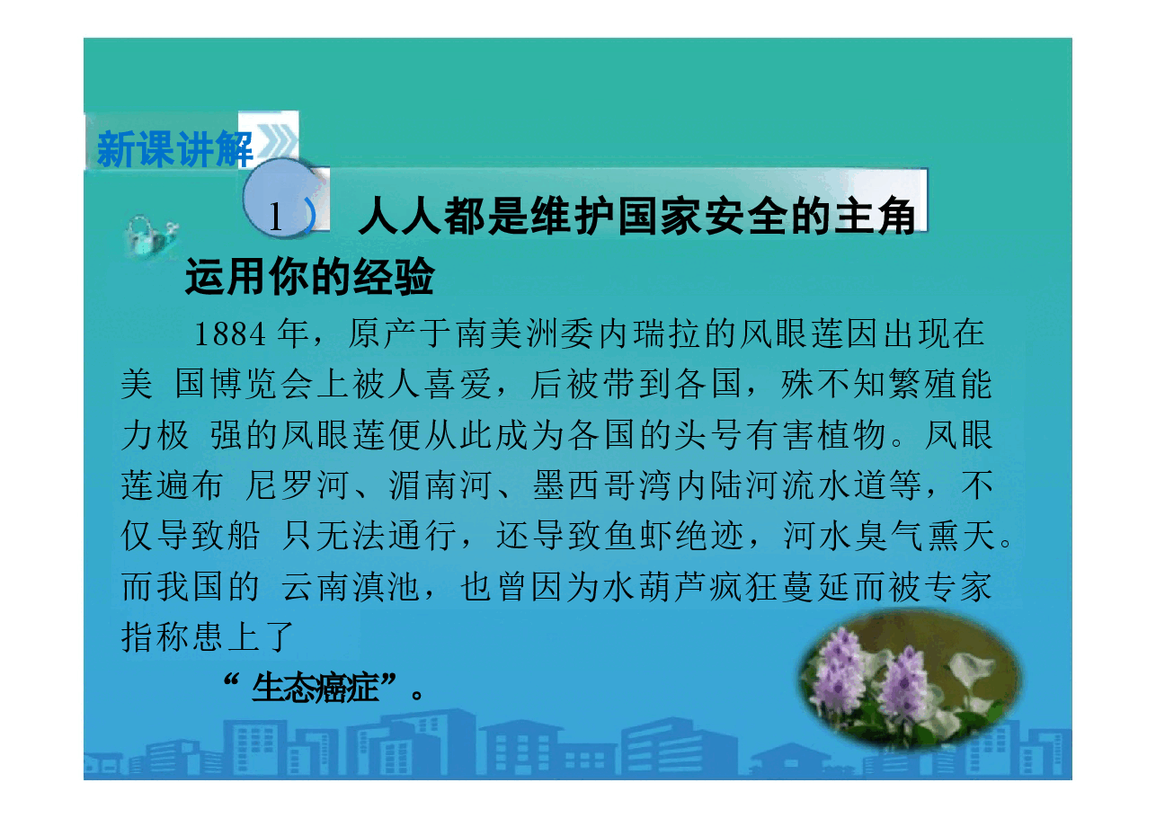 树立总体国家安全观《维护国家安全》.pptx,第4页预览