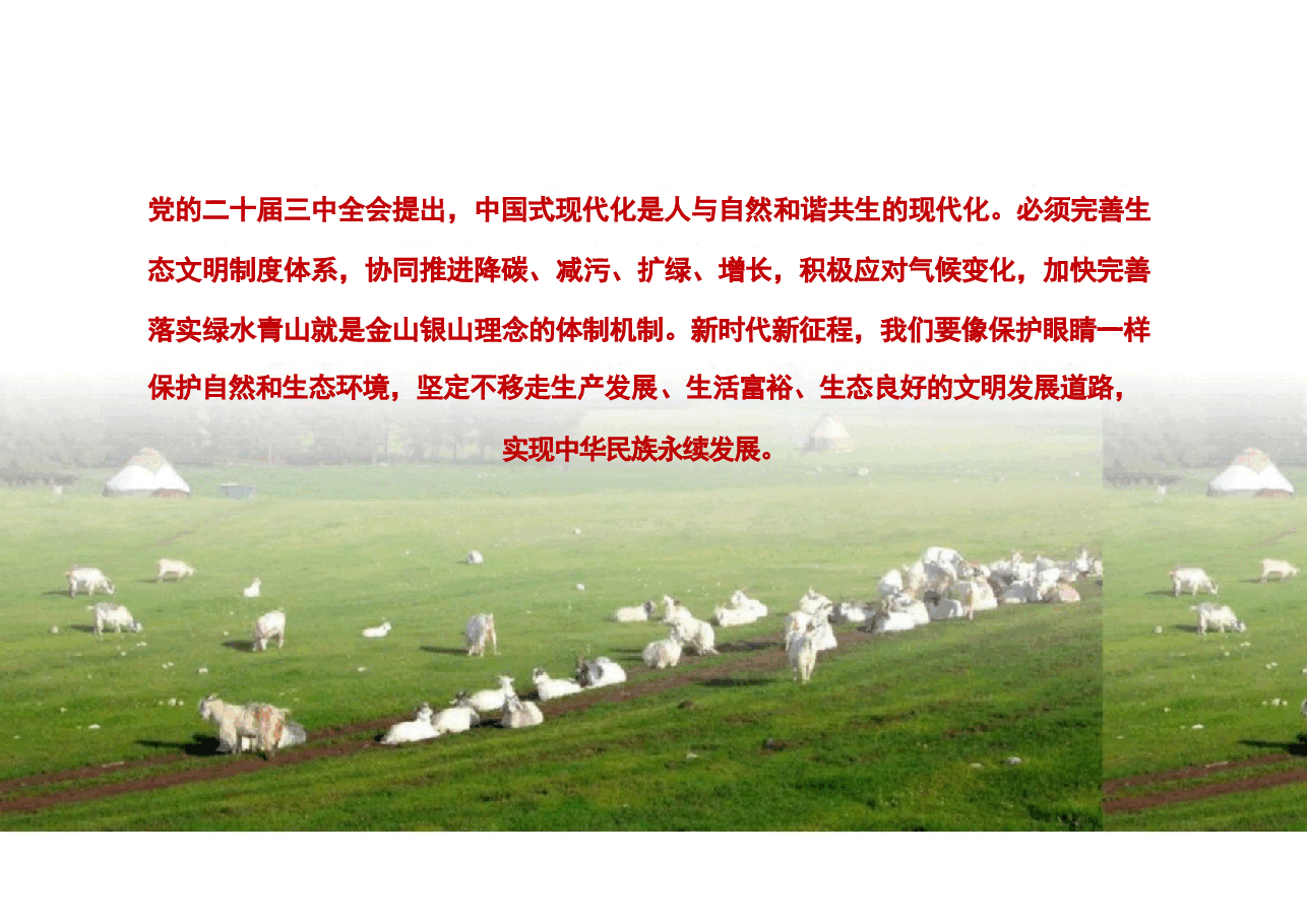 专题八谱写人与自然和谐共生的现代化-2024秋形势与政策课件.pptx,第2页预览