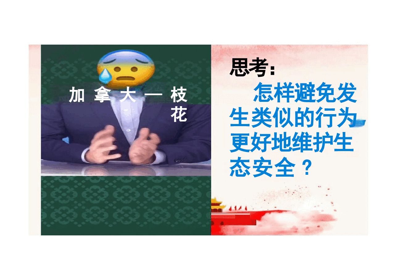 大学生国家安全教育-维护国家安全.pptx,第1页预览