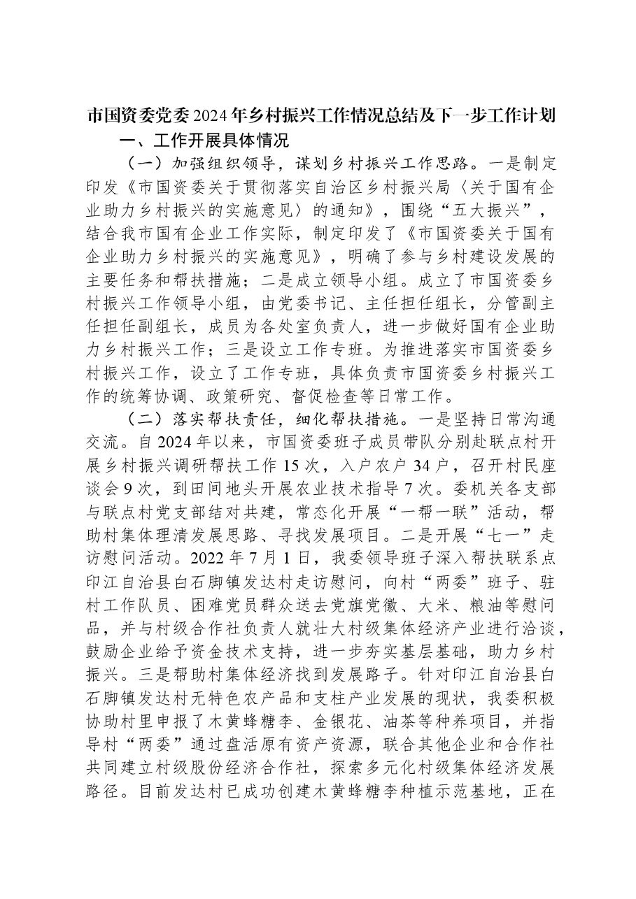 市国资委党委2024年乡村振兴工作情况总结及下一步工作计划.docx,第1页预览