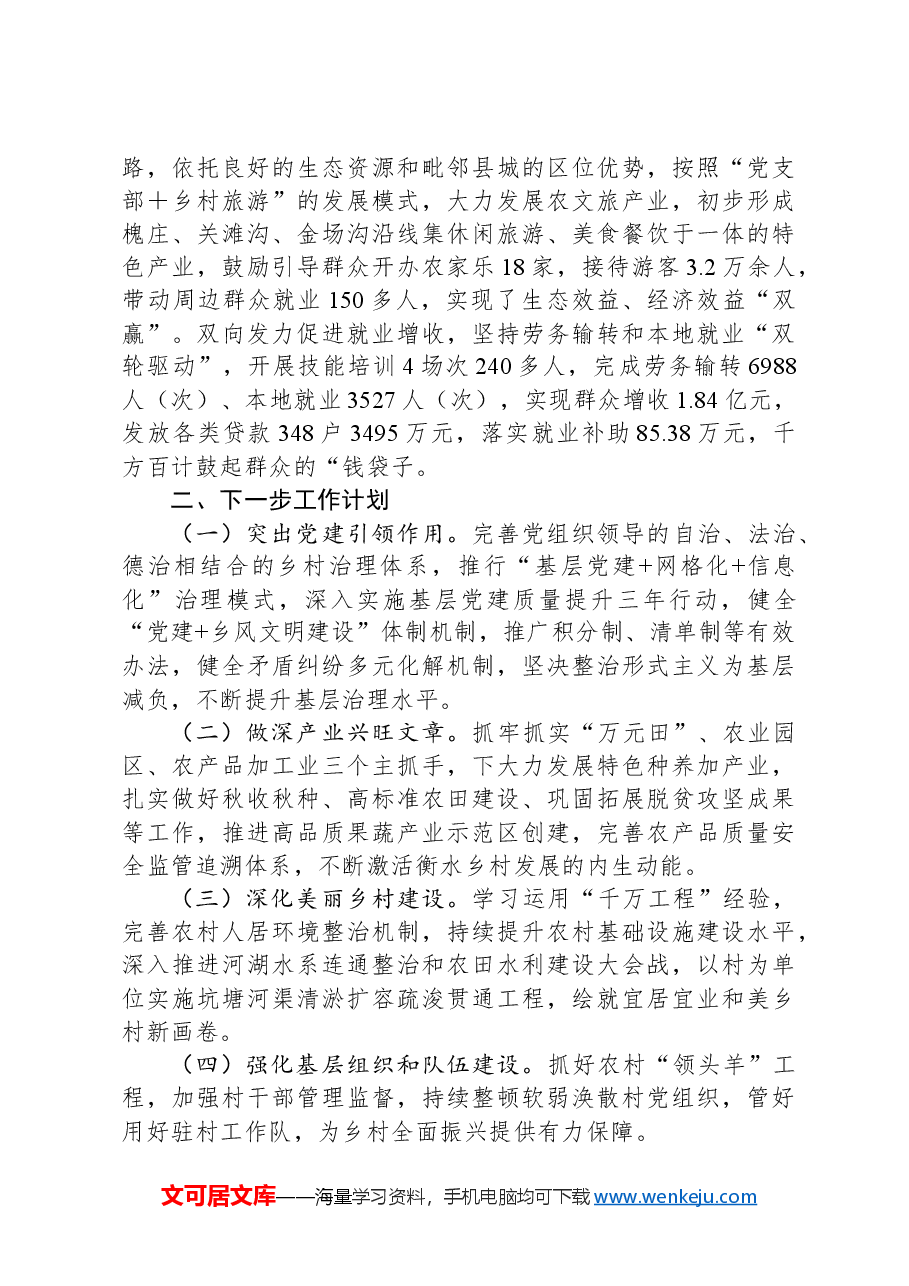 乡镇2024年度抓党建促乡村振兴工作总结.docx,第3页预览