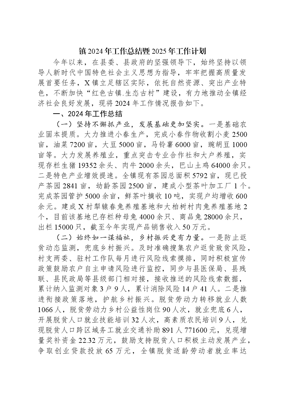 镇2024年工作总结暨2025年工作计划.docx,第1页预览
