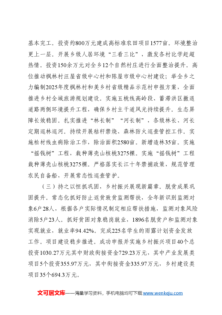 乡镇2024年工作总结.docx,第2页预览