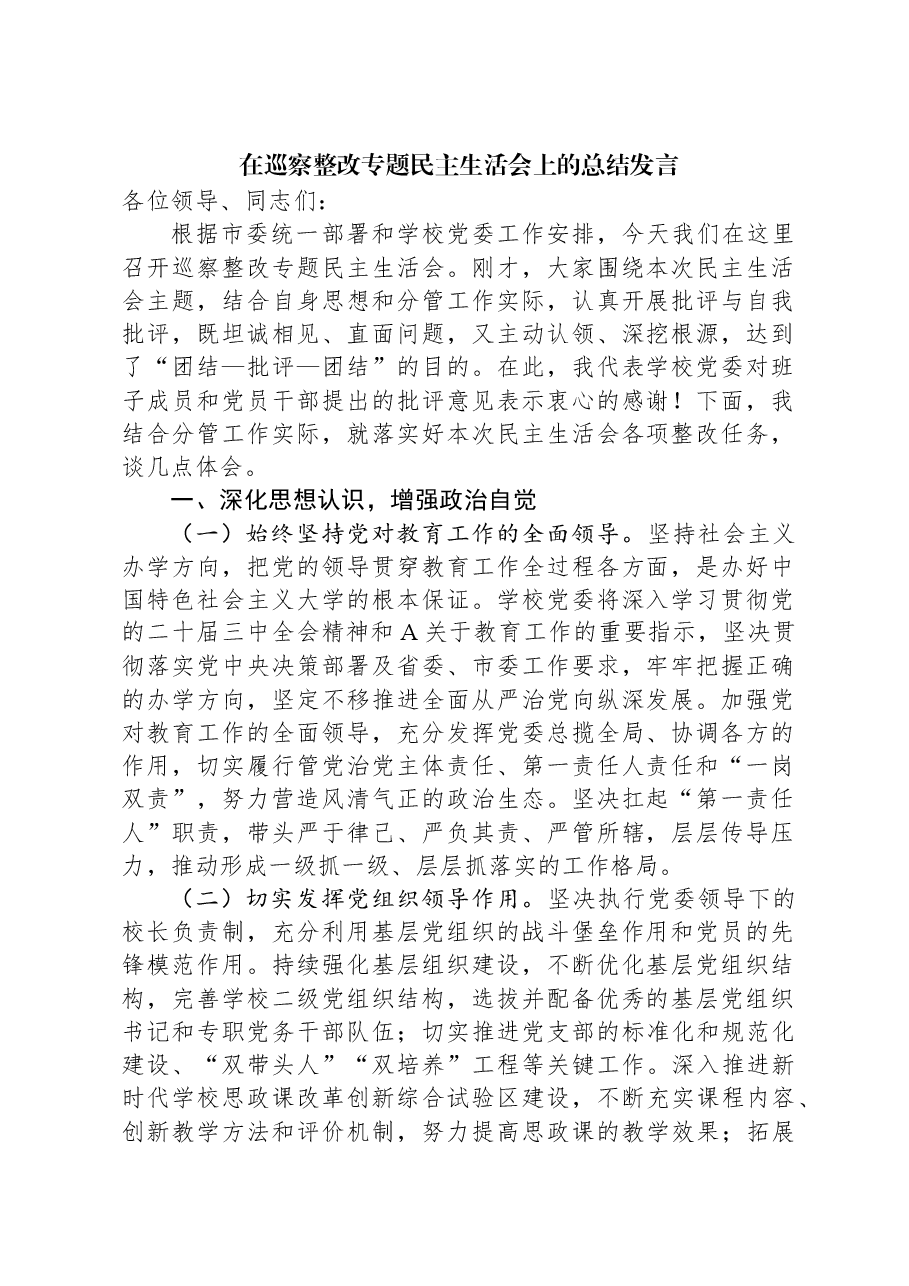 在巡察整改专题民主生活会上的总结发言.docx,第1页预览