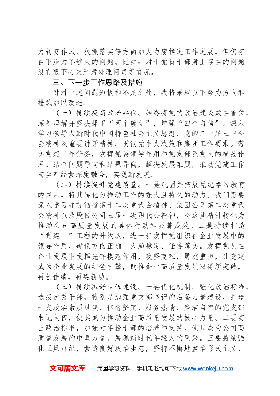 公司党委书记2024年抓基层党建工作述职报告.docx，第4页预览