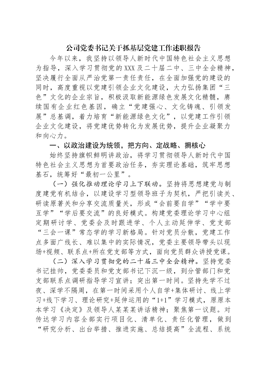 公司党委书记关于抓基层党建工作述职报告.docx,第1页预览