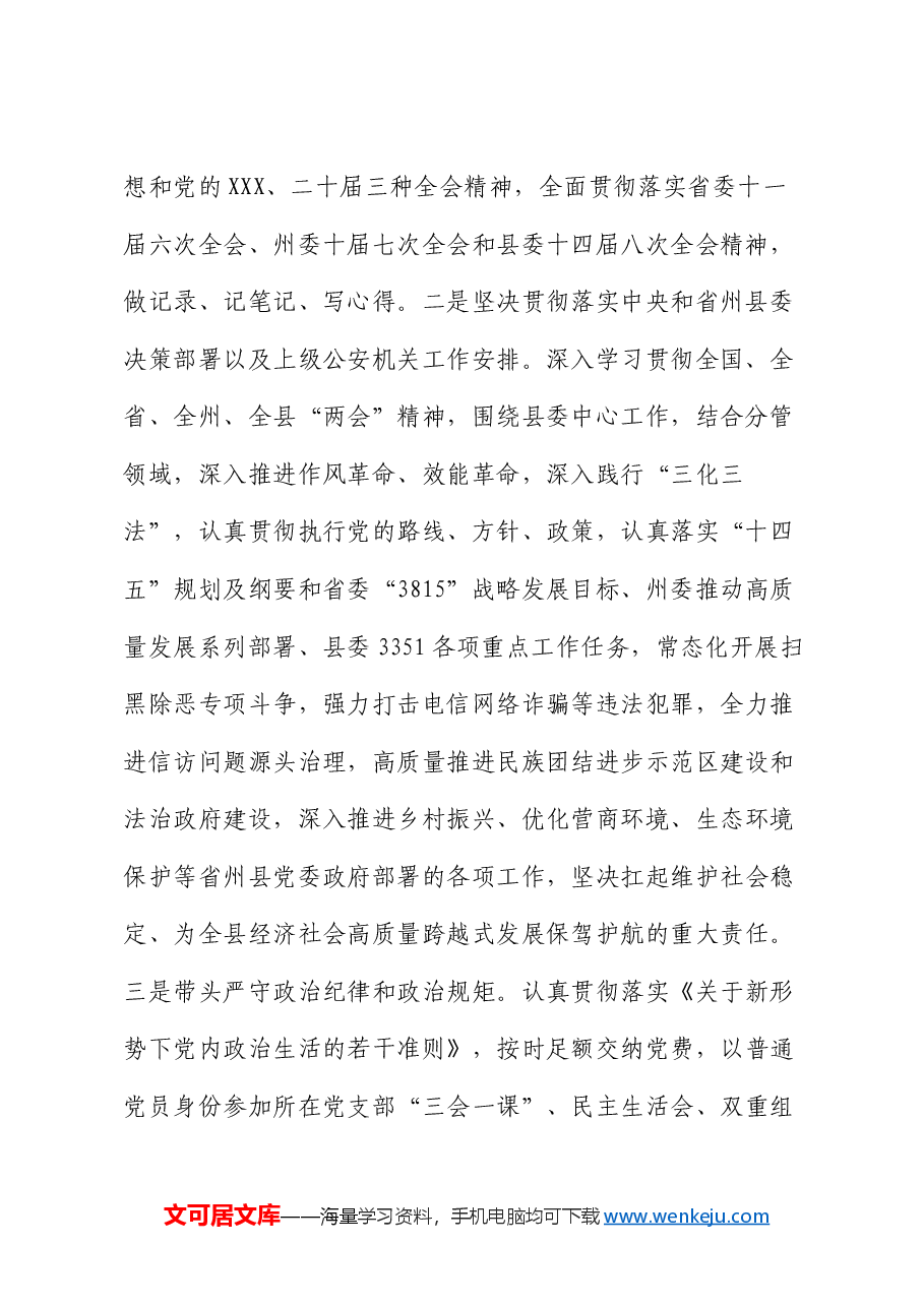 县公安局长2024年度个人述责述廉报告.docx，第2页预览