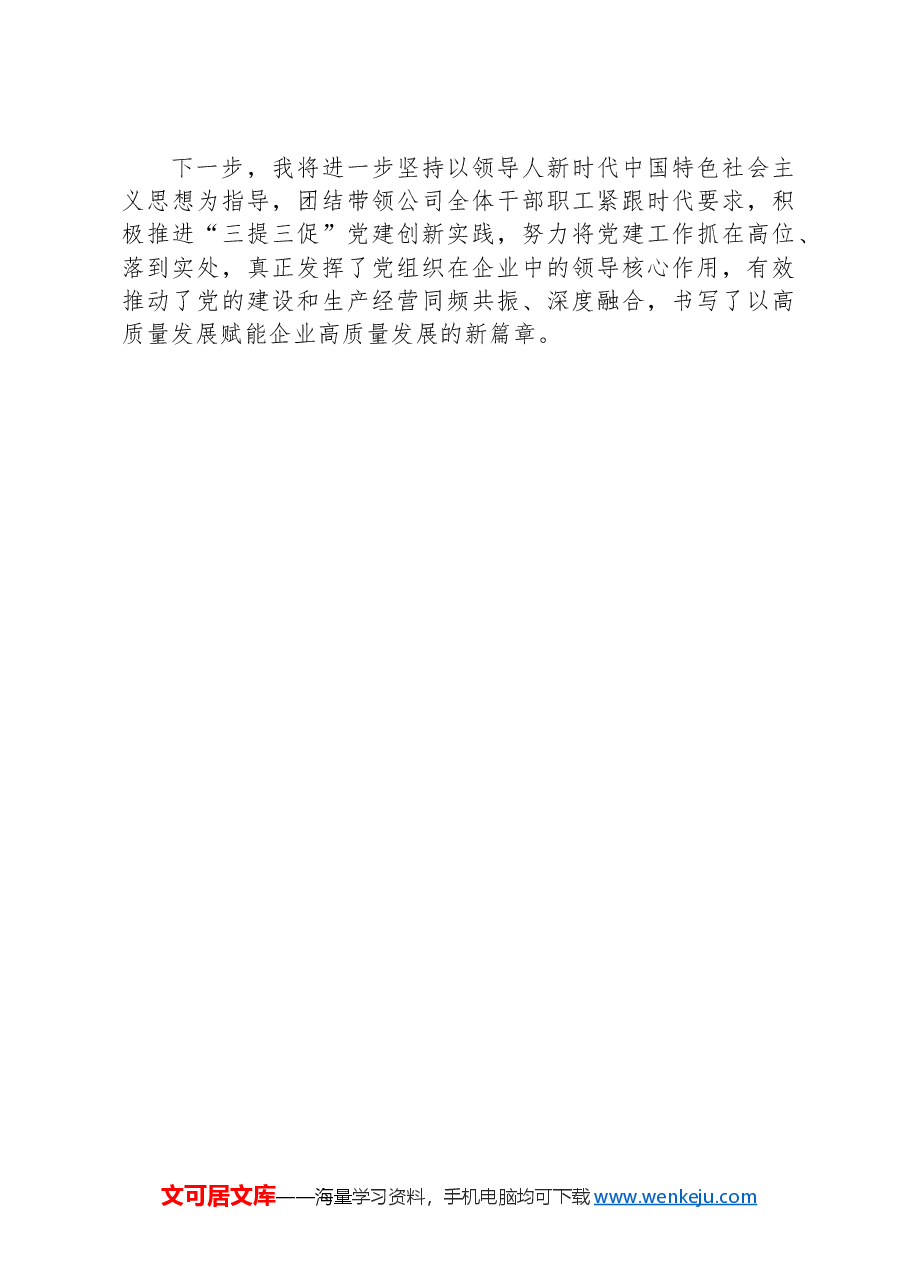 国企党委书记2024年度抓基层党建工作述职报告.docx,第4页预览