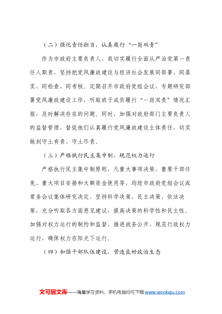 市长 2024 年述责述廉报告.docx,第2页预览