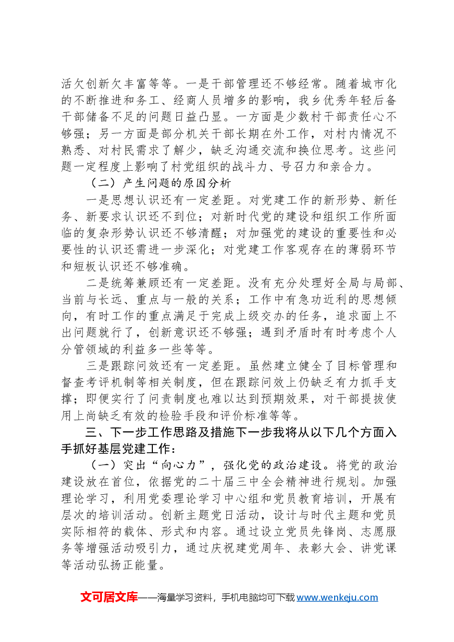2024年抓基层党建工作述职报告.docx,第4页预览