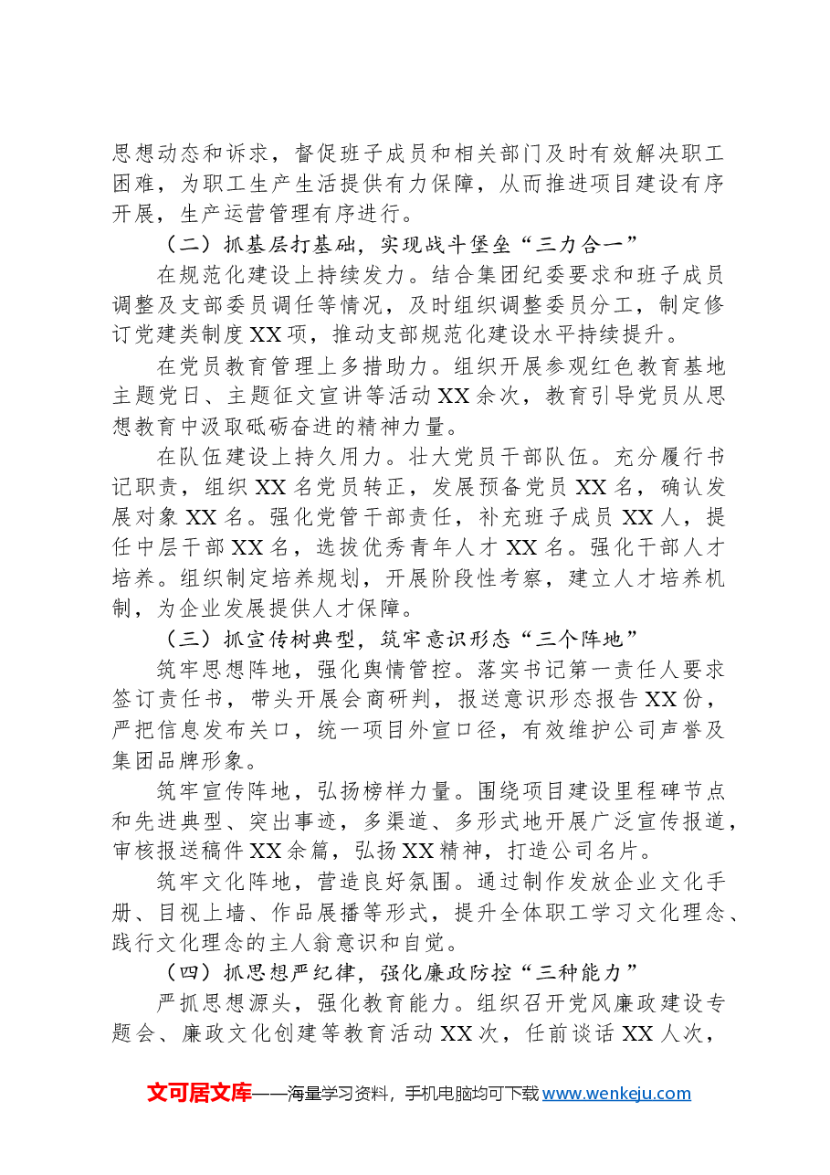 党组织书记2024年抓基层党建工作述职报告.docx,第2页预览