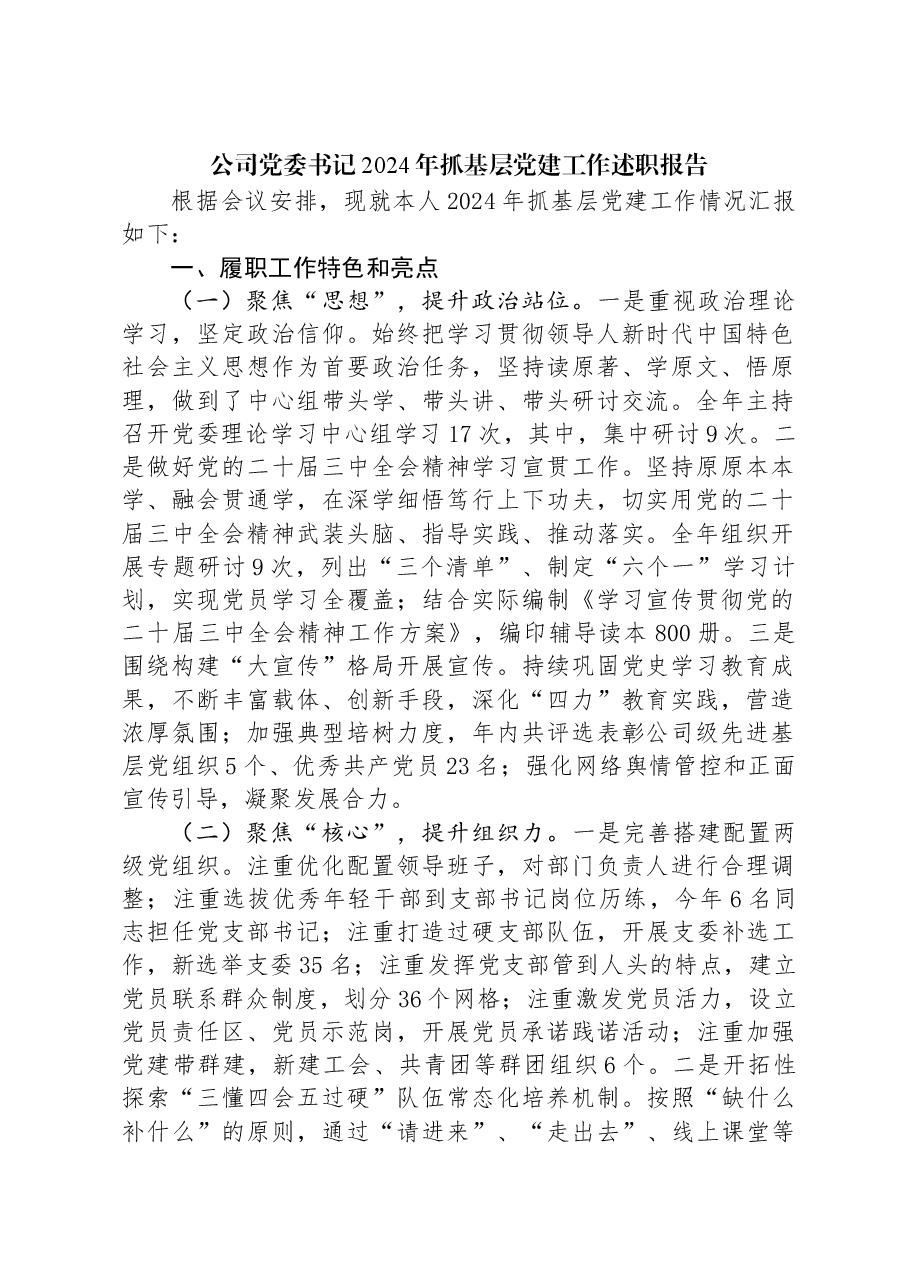 公司党委书记2024年抓基层党建工作述职报告.docx，第1页预览