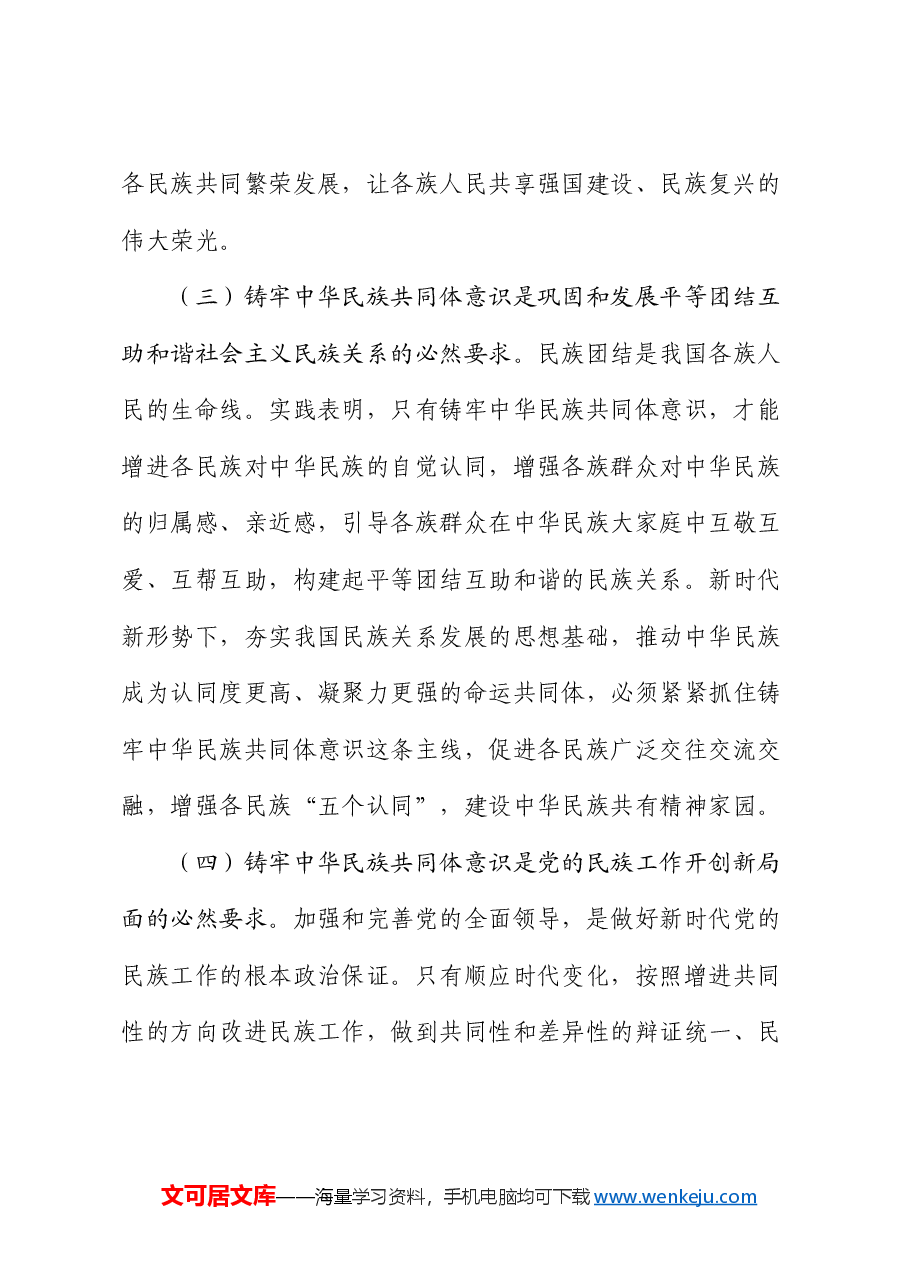 党课:铸牢中华民族共同体意识,助力乡村振兴专题党课.docx,第3页预览