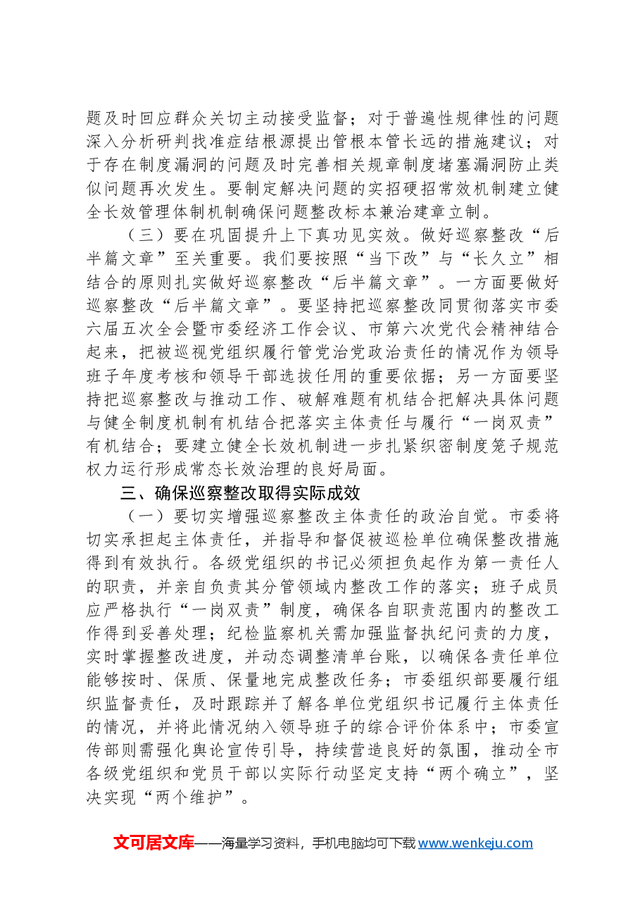 市委书记在2024年巡察整改工作推进会上的讲话.docx，第4页预览