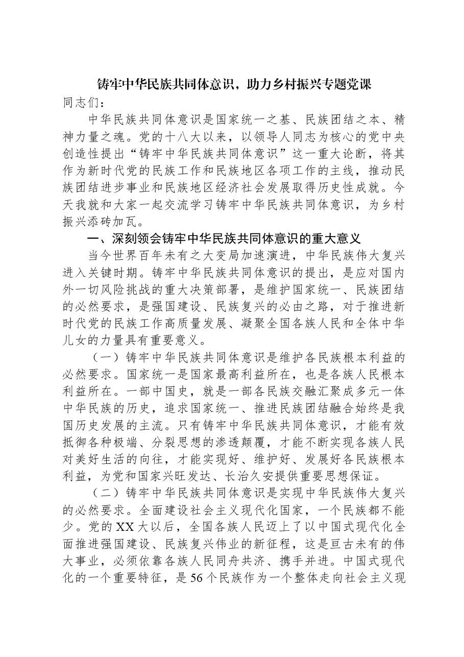 铸牢中华民族共同体意识,助力乡村振兴专题党课.docx,第1页预览
