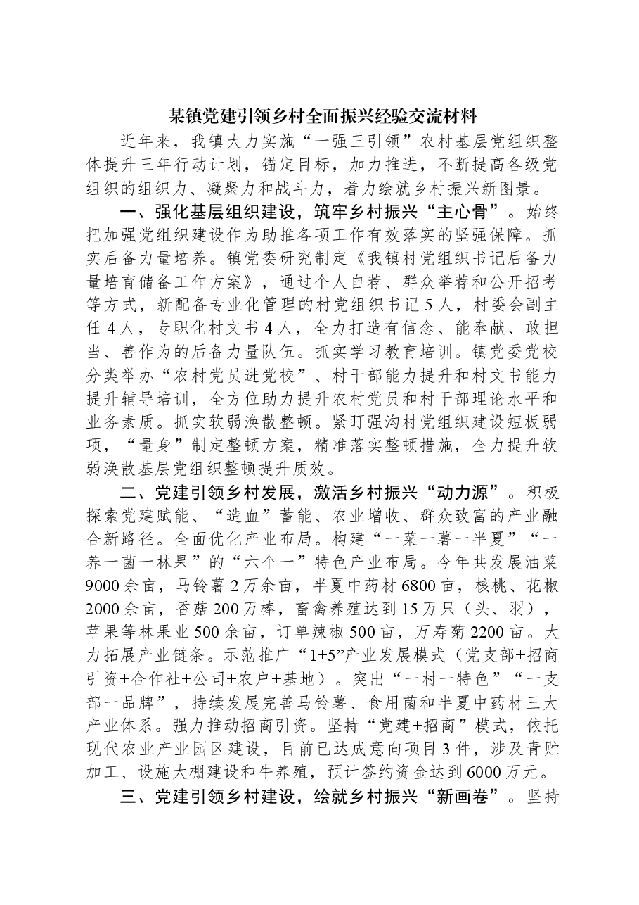 某镇党建引领乡村全面振兴经验交流材料.docx,第1页预览