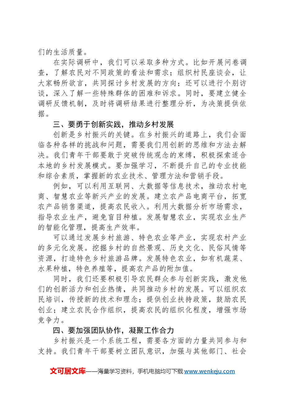 党课:以二十届三中全会精神为引领,青年干部在乡村振兴中勇担当、善作为.docx,第2页预览
