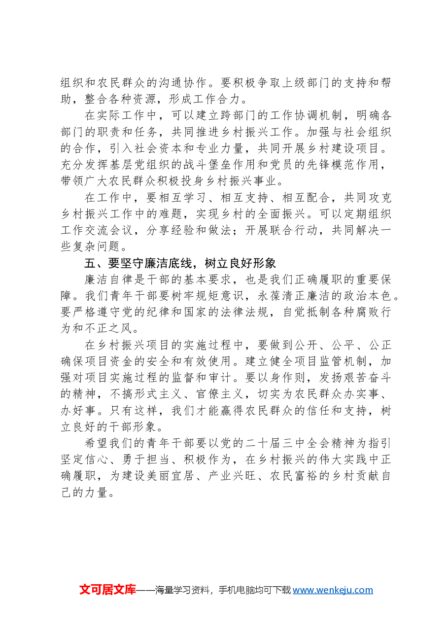 党课:以二十届三中全会精神为引领,青年干部在乡村振兴中勇担当、善作为.docx,第3页预览
