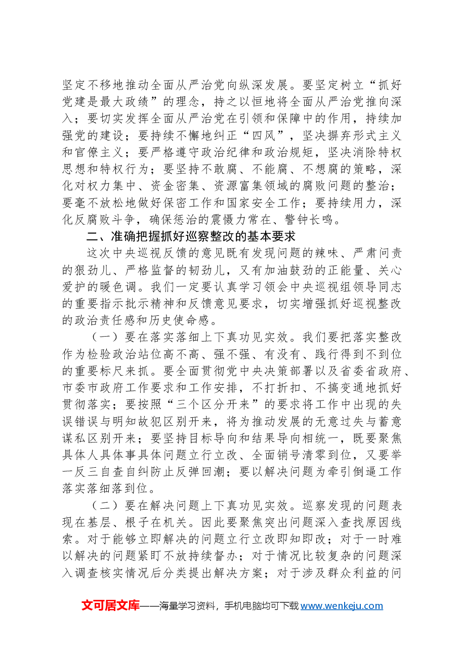 市委书记在2024年巡察整改工作推进会上的讲话.docx，第3页预览