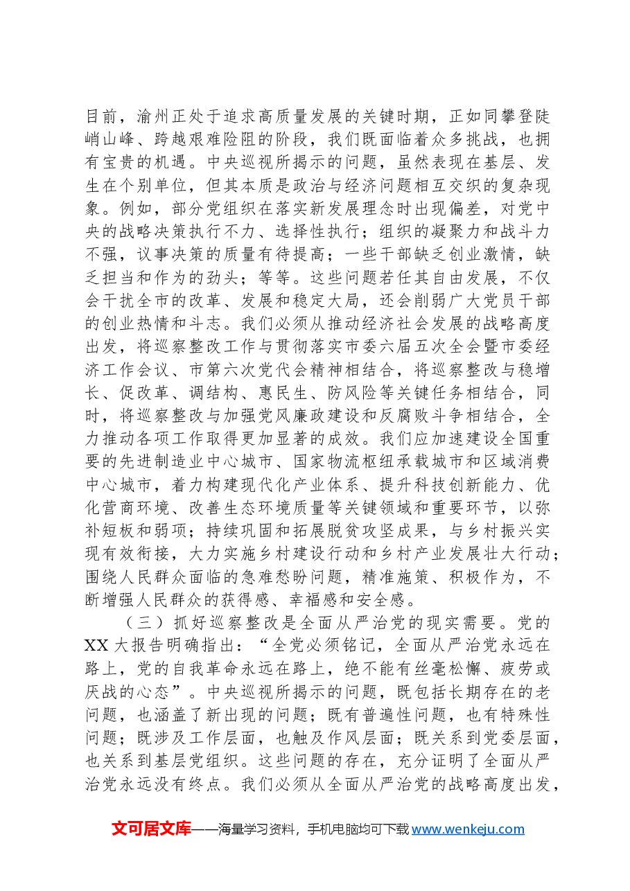 市委书记在2024年巡察整改工作推进会上的讲话.docx，第2页预览