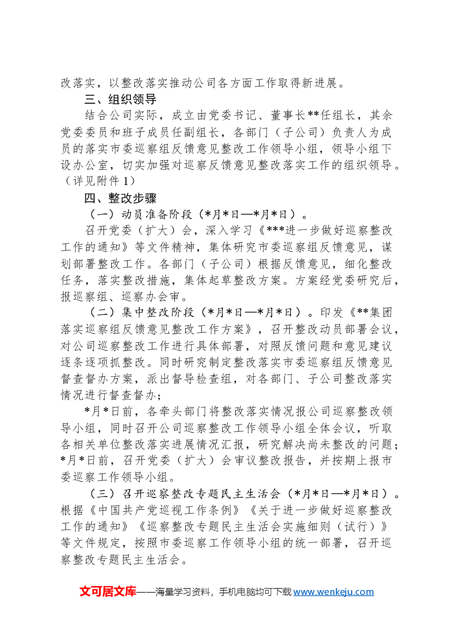 公司落实巡察反馈问题整改工作方案.docx，第2页预览