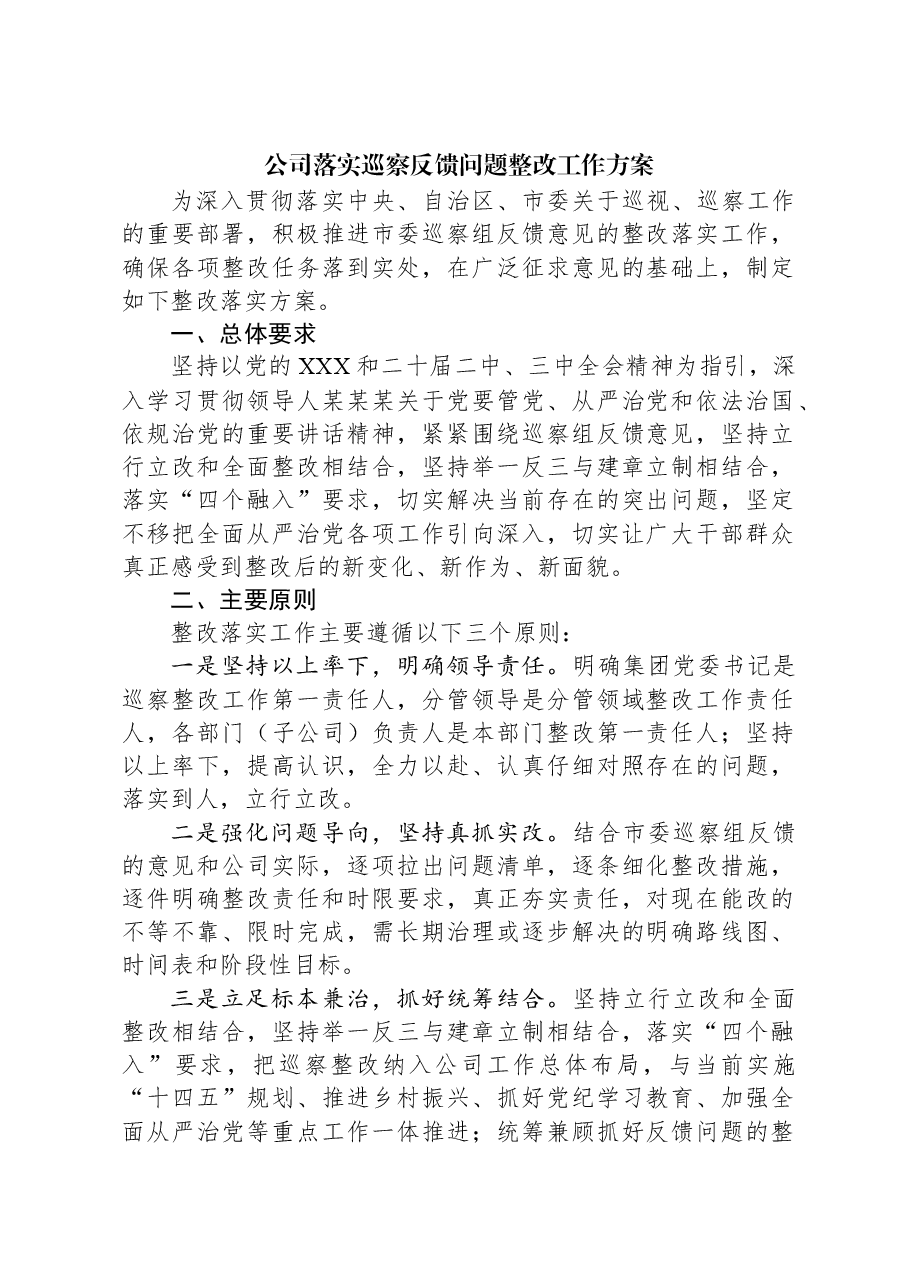 公司落实巡察反馈问题整改工作方案.docx，第1页预览