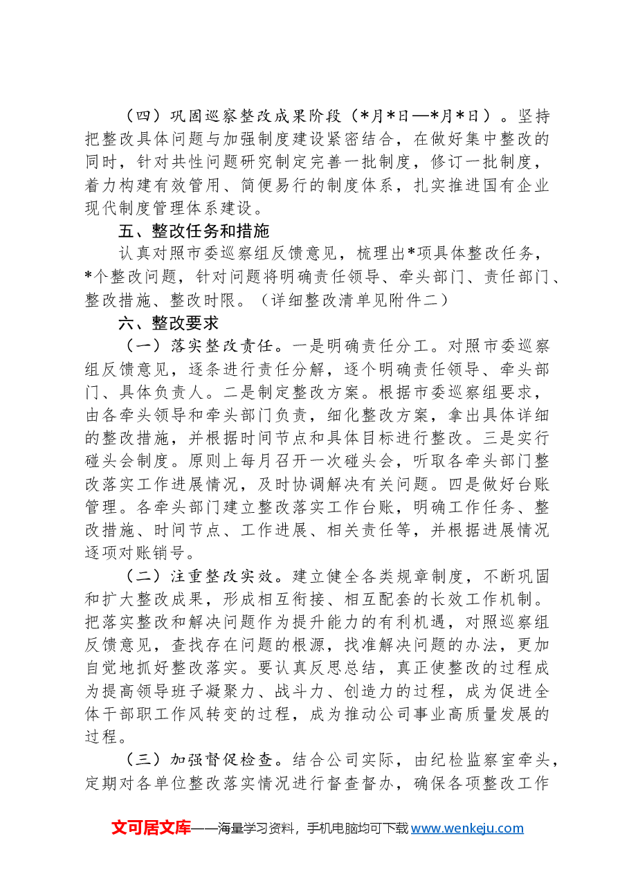公司落实巡察反馈问题整改工作方案.docx，第3页预览