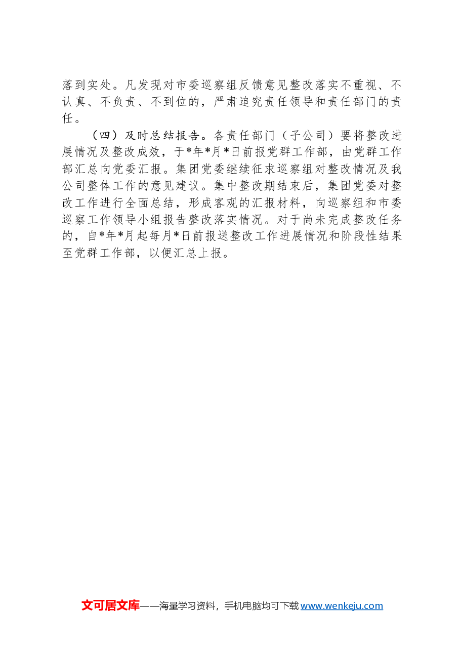 公司落实巡察反馈问题整改工作方案.docx，第4页预览