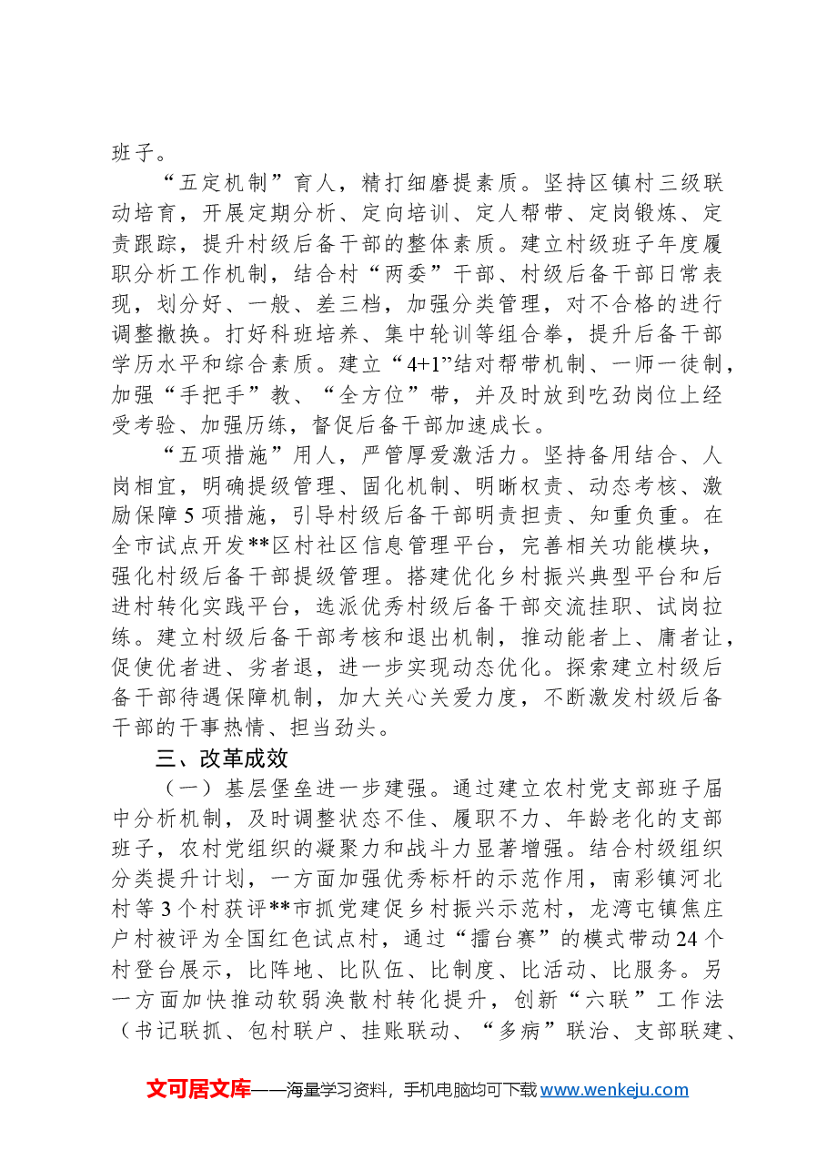 关于全区村级后备力量培养情况汇报.docx,第2页预览