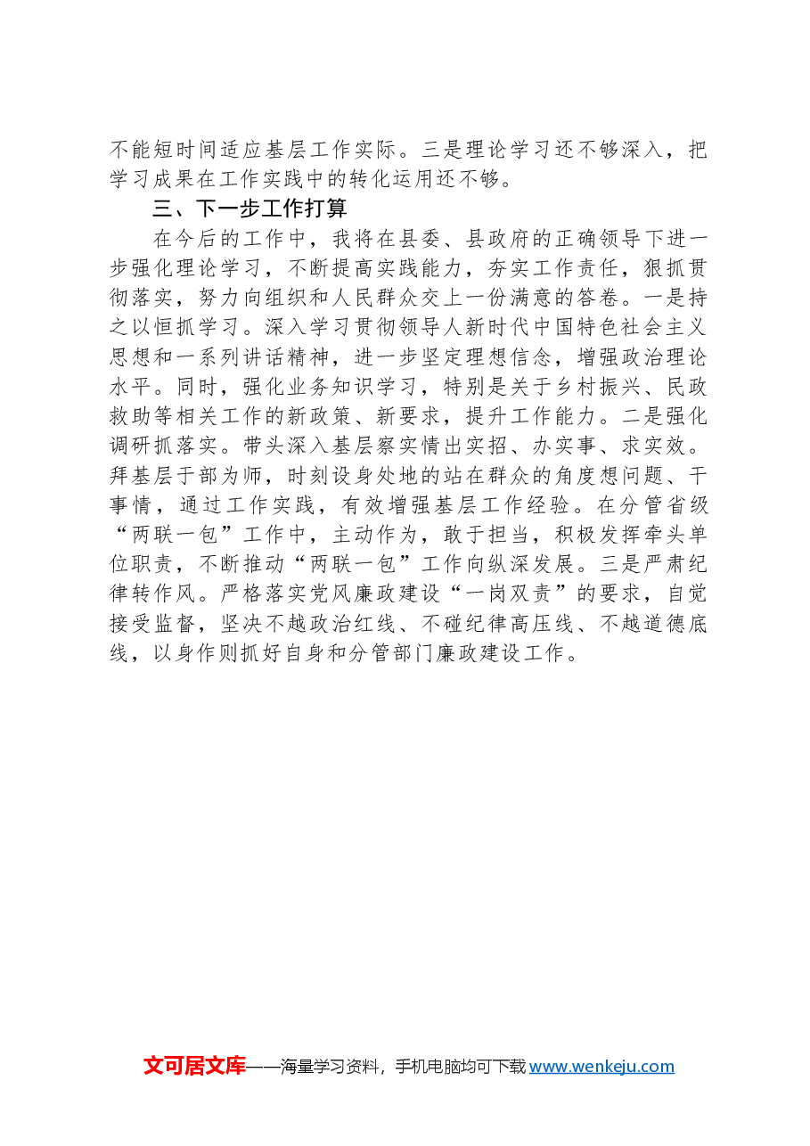 副县长2024年度个人述职报告(挂职).docx,第3页预览