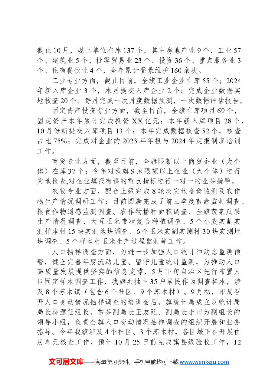 (10篇)统计局2024年工作总结汇编.docx,第2页预览