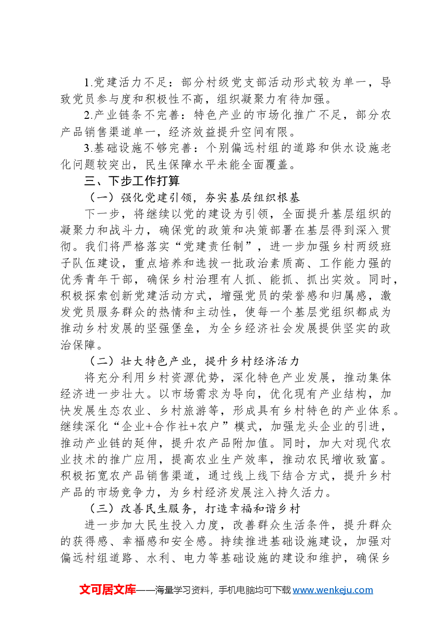 2024年党委书记述职报告.docx,第3页预览