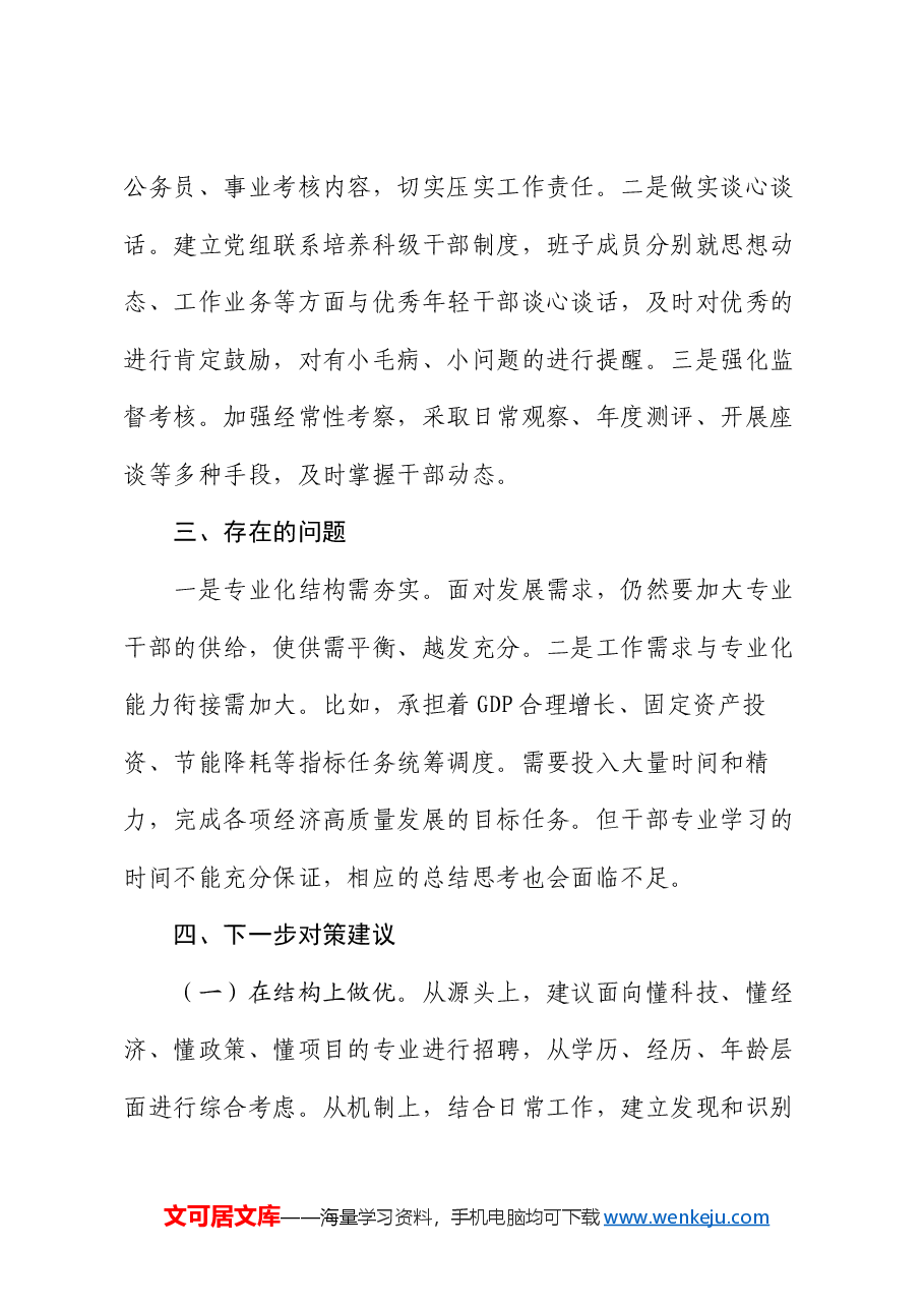 2024年干部专业化能力建设总结.docx,第4页预览