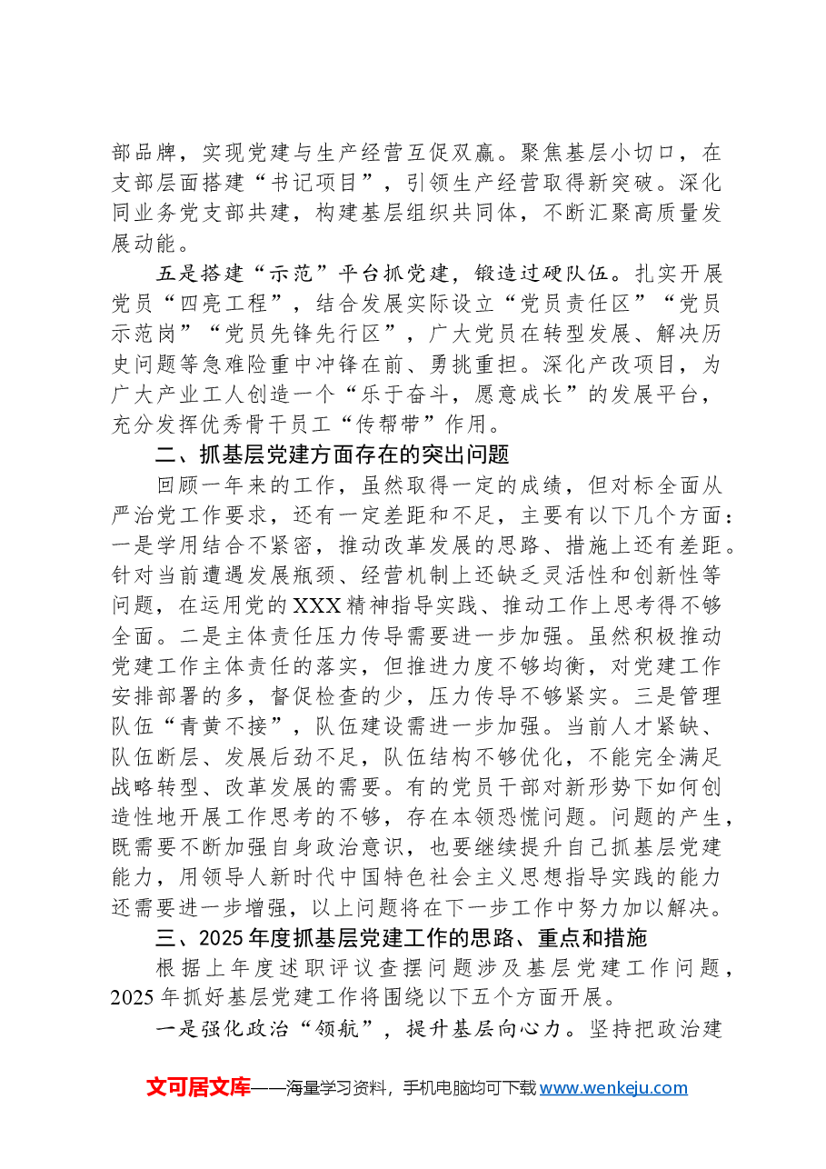 2024年抓基层党建述职报告.docx,第2页预览