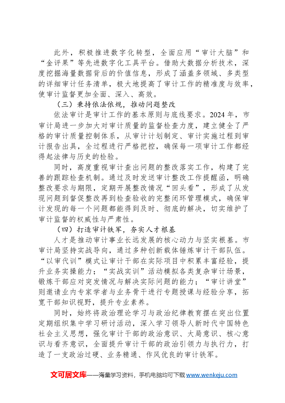 2024年市审计局工作总结及2025年工作计划.docx,第2页预览