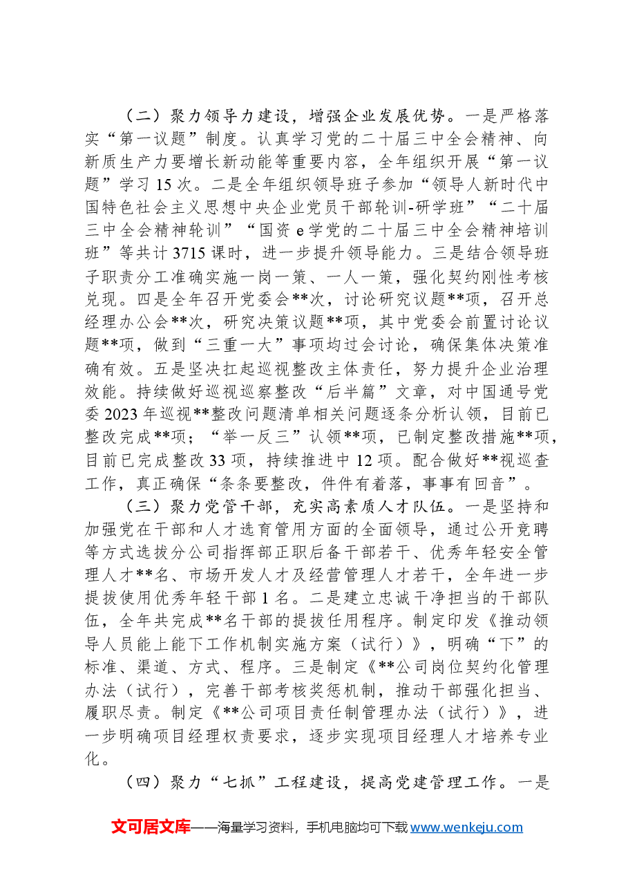 公司党委关于2024年工作总结及2025年工作计划.docx,第2页预览