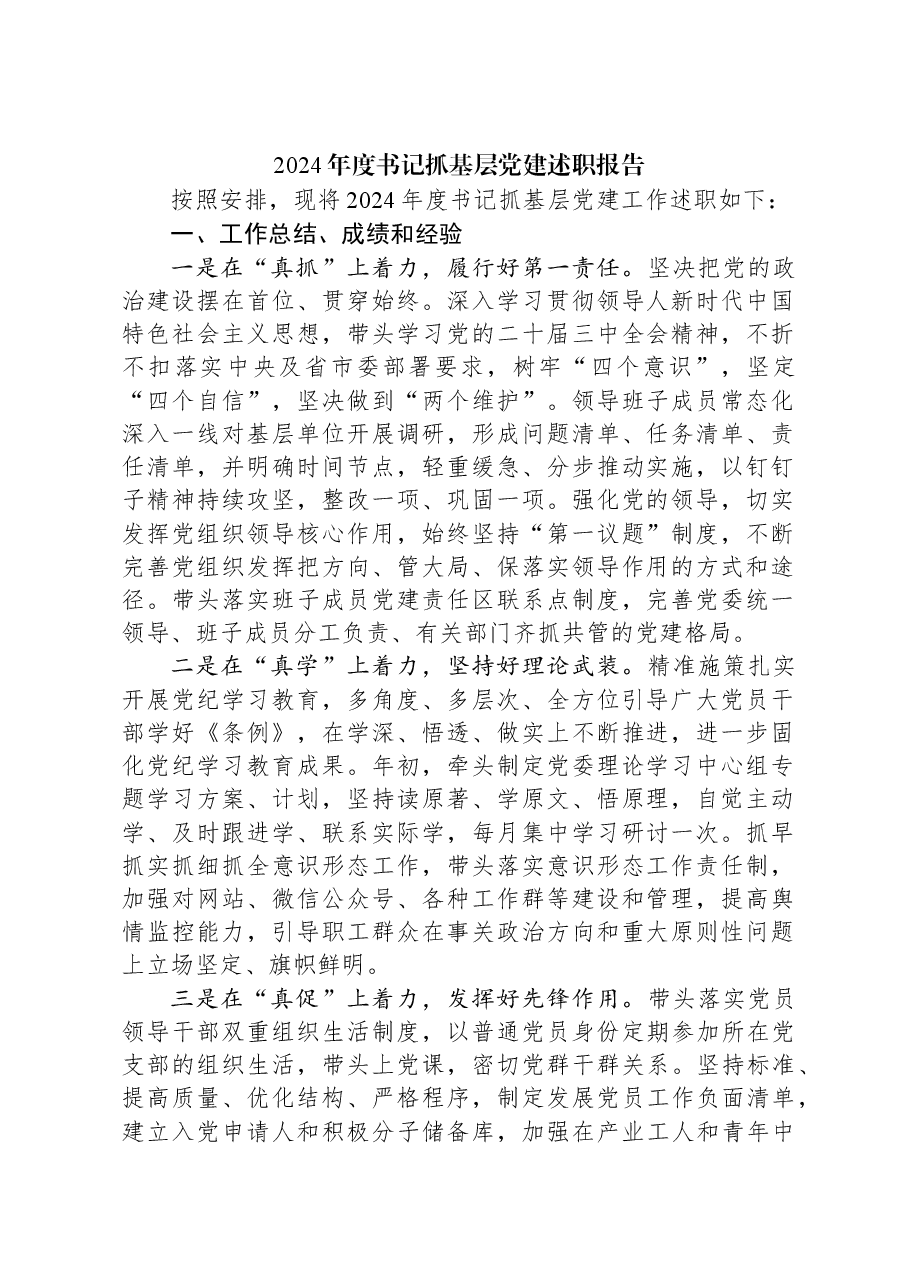 2024年度书记抓基层党建述职报告.docx，第1页预览