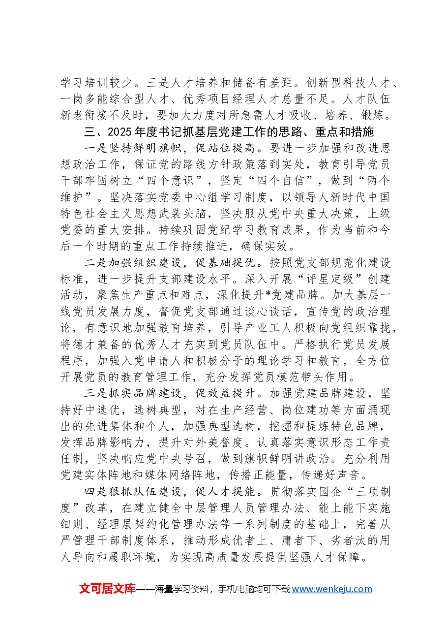2024年度书记抓基层党建述职报告.docx，第3页预览
