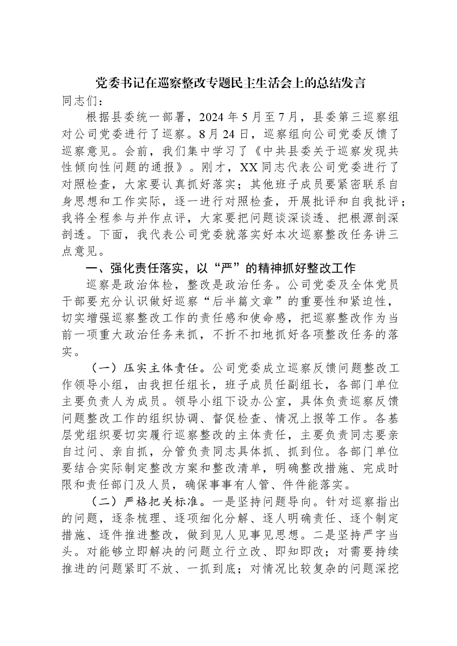 党委书记在巡察整改专题民主生活会上的总结发言.docx,第1页预览