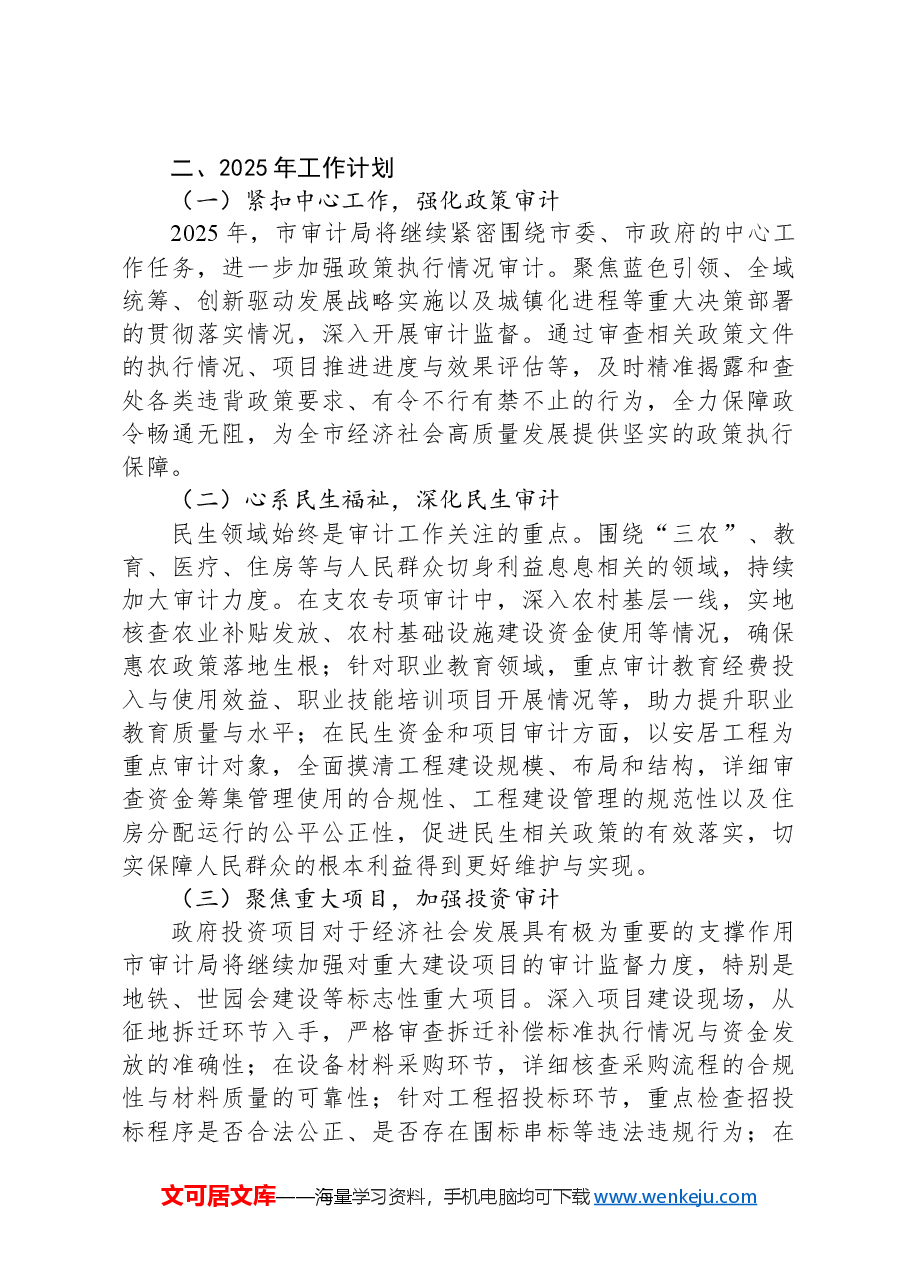 2024年市审计局工作总结及2025年工作计划.docx,第3页预览