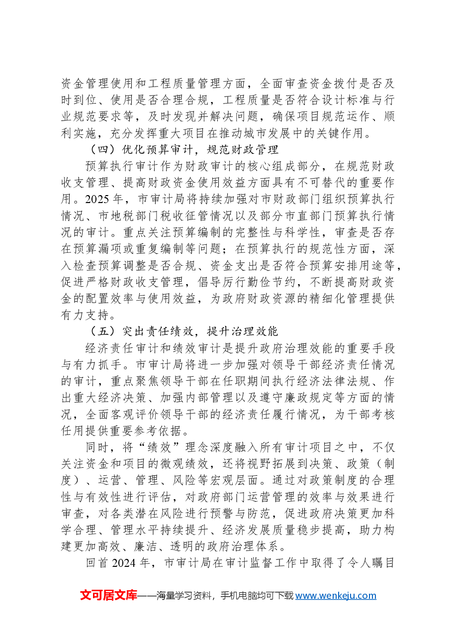 2024年市审计局工作总结及2025年工作计划.docx,第4页预览